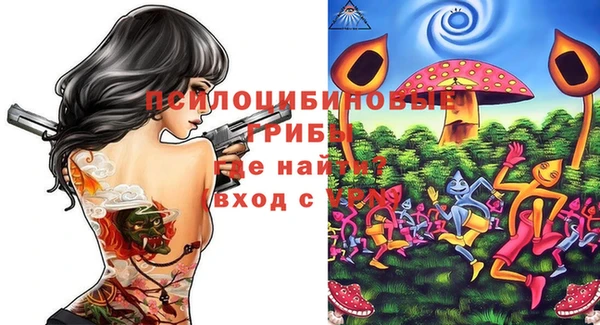 спиды Алексин