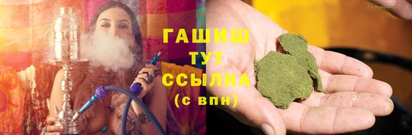 стафф Алзамай