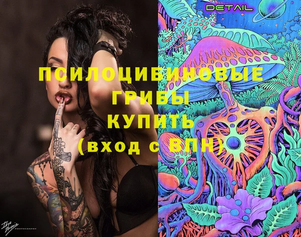 спиды Алексин