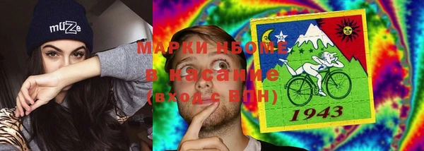стафф Алзамай