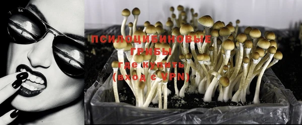 спиды Алексин