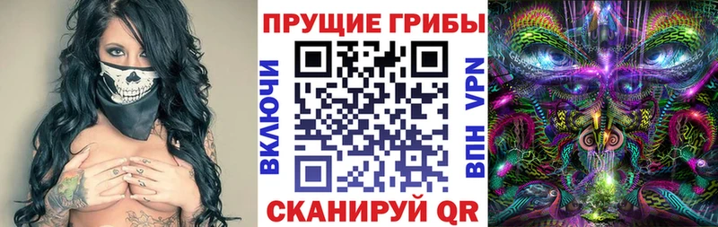 наркошоп  МЕГА сайт  Галлюциногенные грибы MAGIC MUSHROOMS  Кохма 